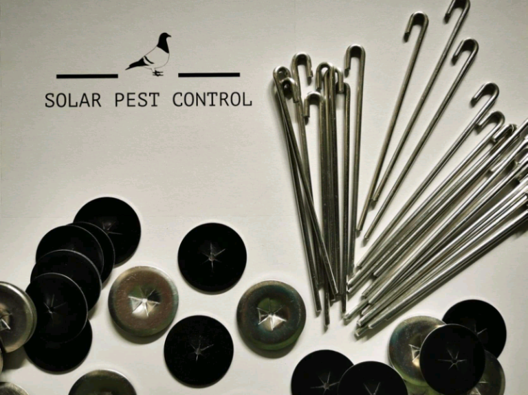 Pv Solar panels Pest control Bird proofing pigeon mesh