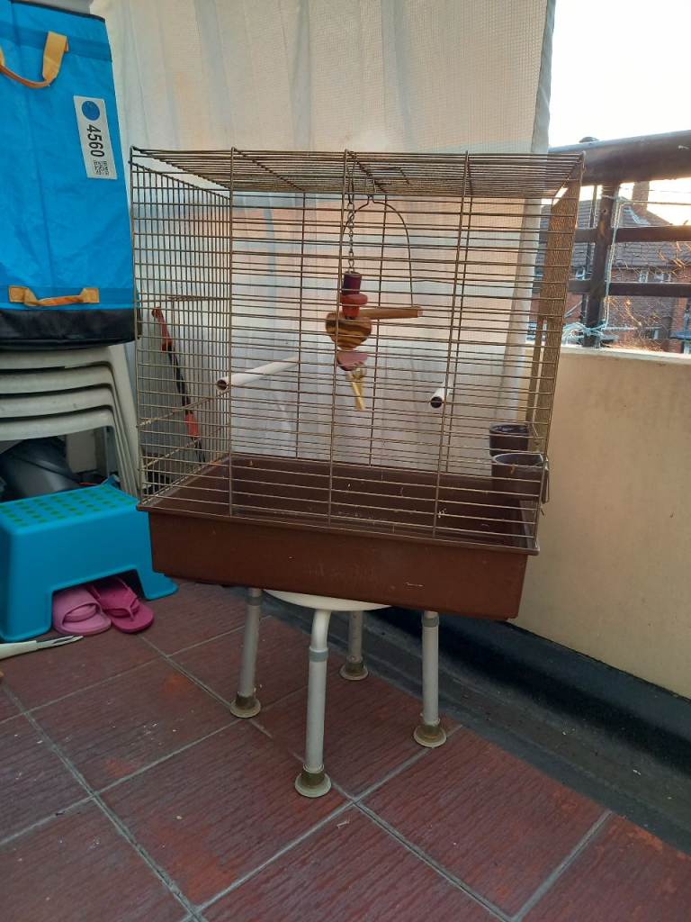 BIRD CAGE 