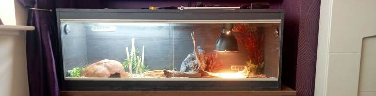 FOR SALE! vivarium for sale