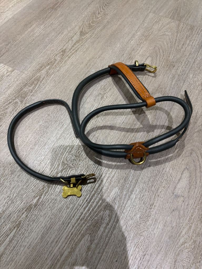 Genuine Leather Dog Harness & Collar