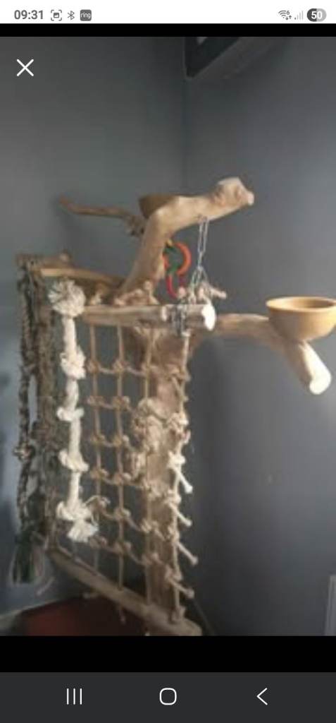 Bird stand