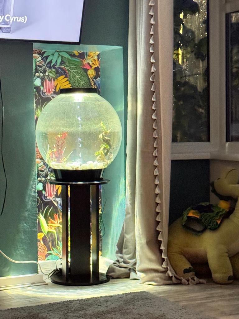 Orb fish tank 