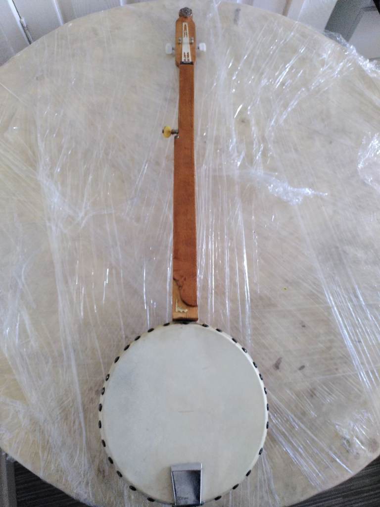 Lovely Lute string instrument 