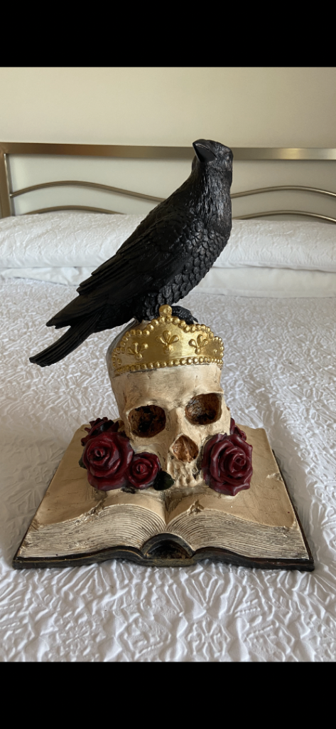 New TKmaxx Halloween ornament decoration from smoke and pet free home