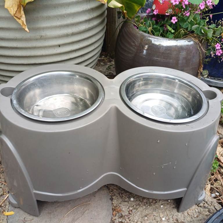 Large raised dog bowls