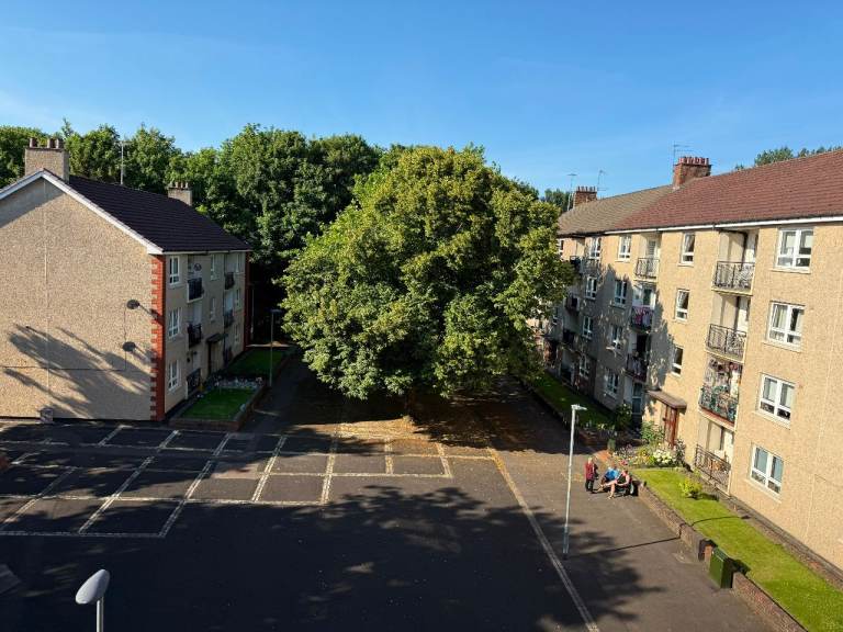 Comfortable Single Bedroom Available in a Friendly Shared Flat – Dennistoun, Glasgow (G31 3HB)