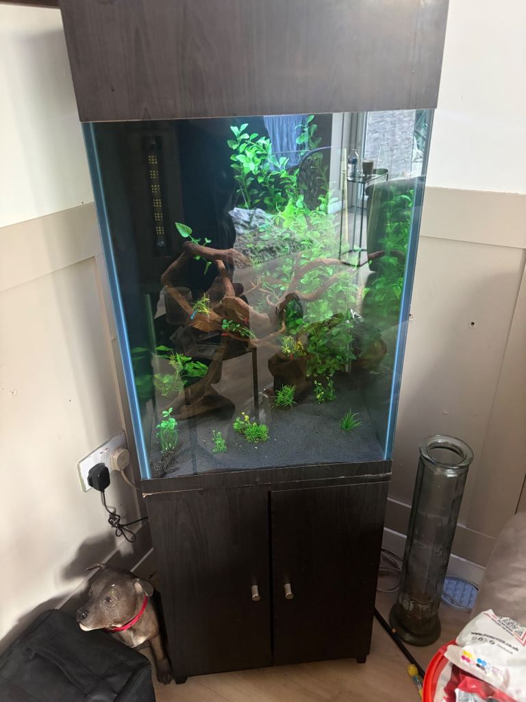 Fish tank and L number pelcos 