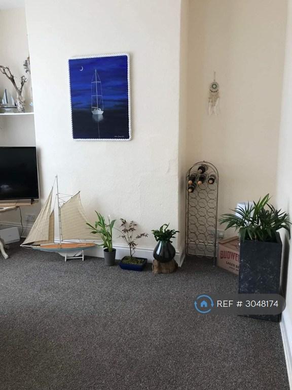 3 bedroom house in Tavistock St, Hull, HU5 (3 bed) (#3048174)