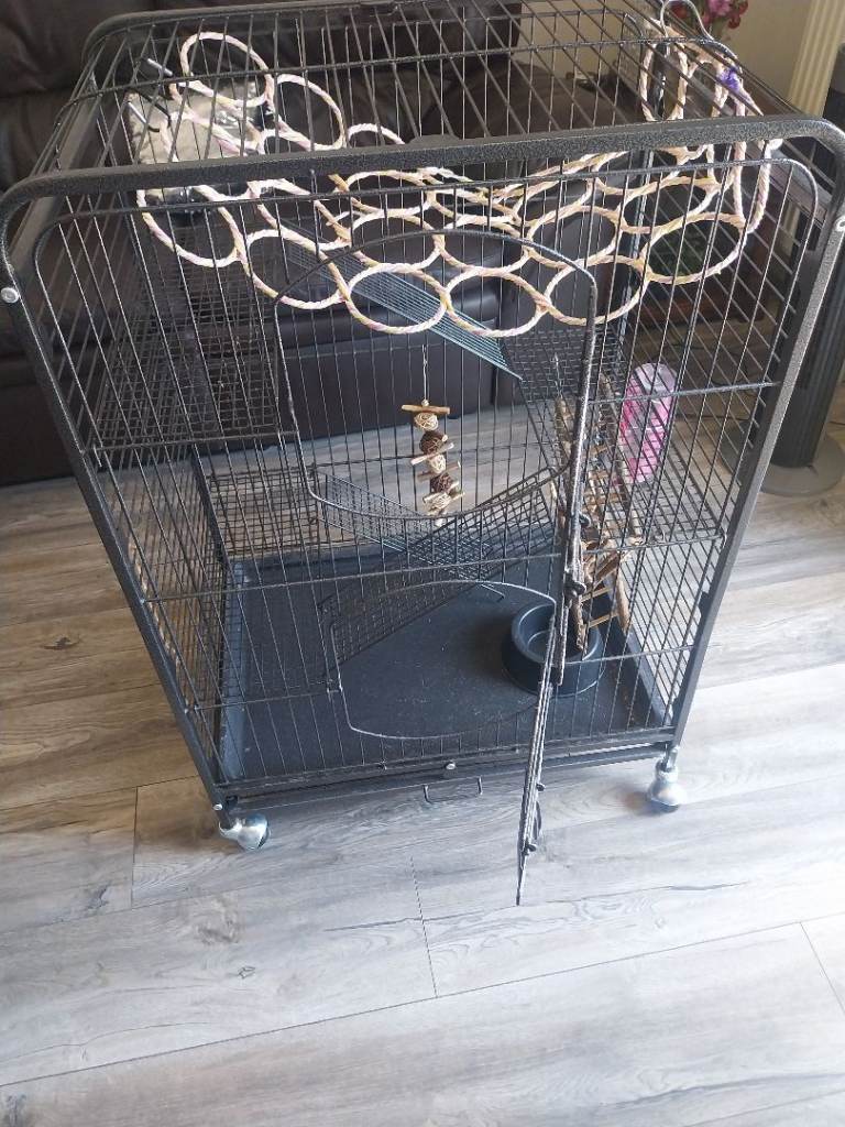 Rat Cage