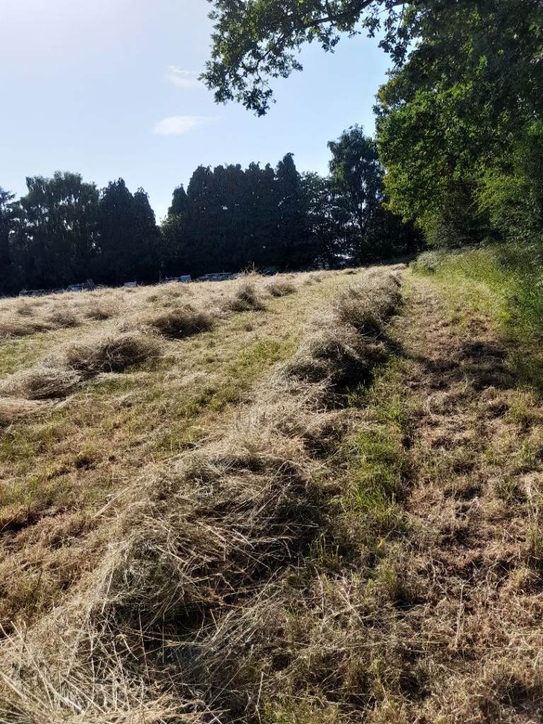 Hay For Sale*Lovely Quality*Small/Conventional Bales*2026*** 