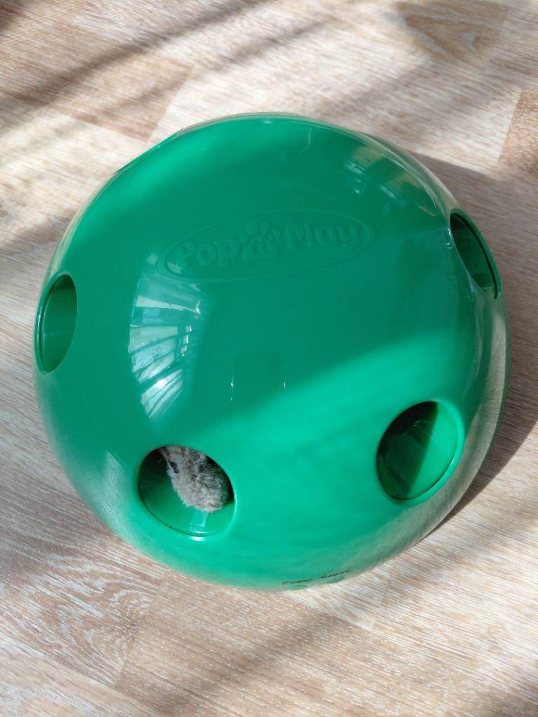 Cat interactive toys