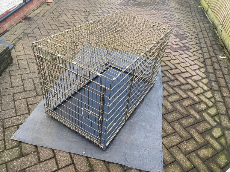 Dog Crate