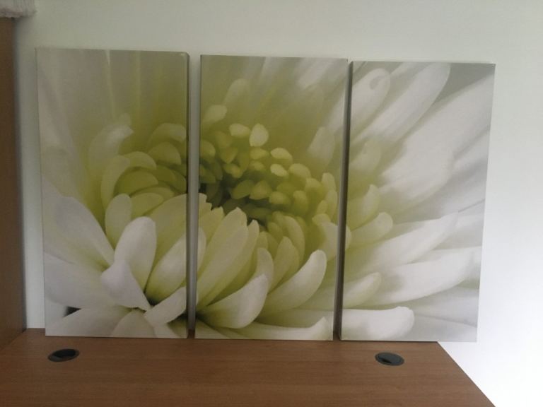Flower canvas picture - 3 panels