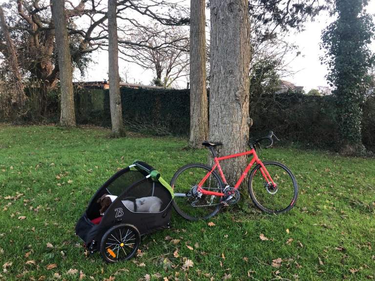 Burley Tail Wagon dog trailer 
