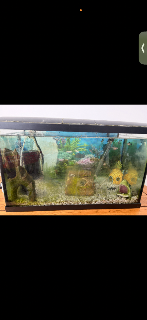 Fish tank 60L