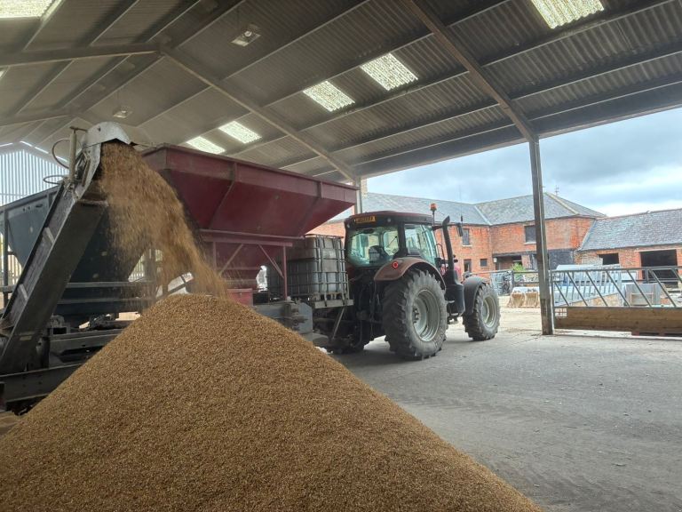 image for Livestock feed 