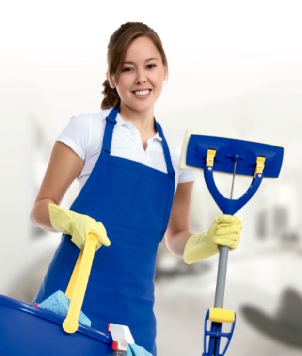 Professional Cleaning Services 