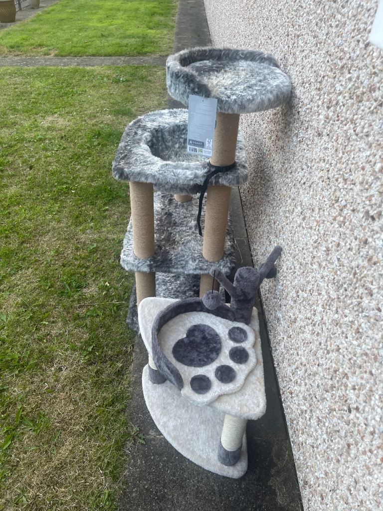 Cat toys 