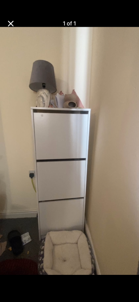 Shoe cabinet storage 