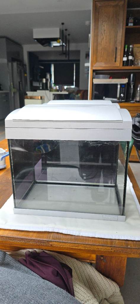 Small Glass Aquarium with White Lid – Good Condition