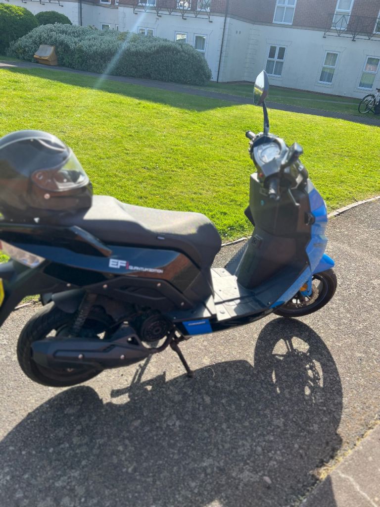 Sinnis, MATRIX, 2020, 125 (cc)