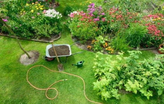 Gardening Services - When you need us! 