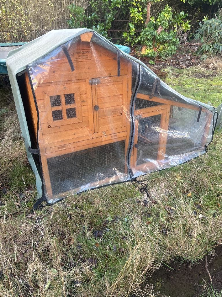 Outdoor Guinea pig enclosure 
