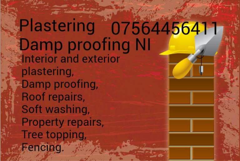 Plastering damp proofing roof  soft washing repairs soft wash dry clean sealing 