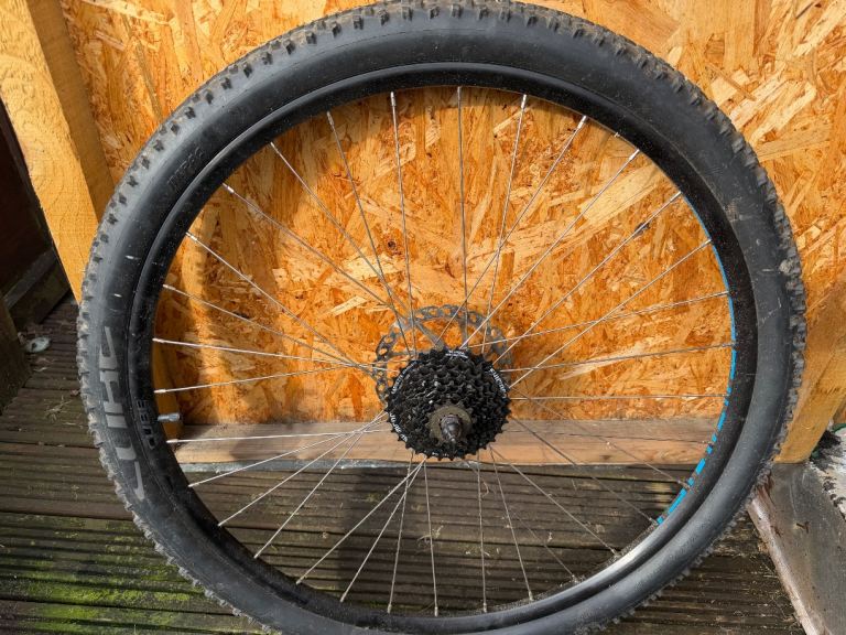 29” rear wheel and tyre - cube 8 speed