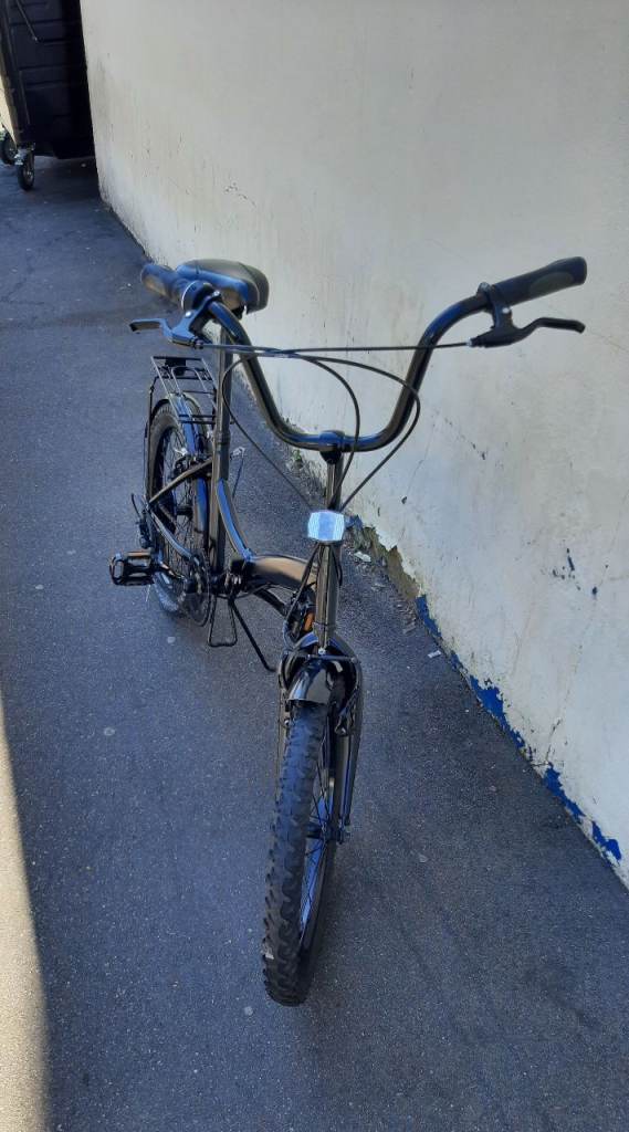 Challenge Folding Argos 20' bicycle, restored,  really easy riding 10 to 65 age