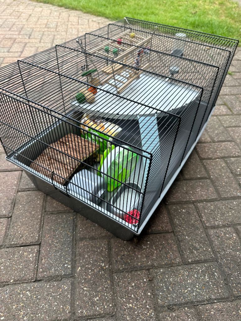 Hamster 🐹 cage and accessories 