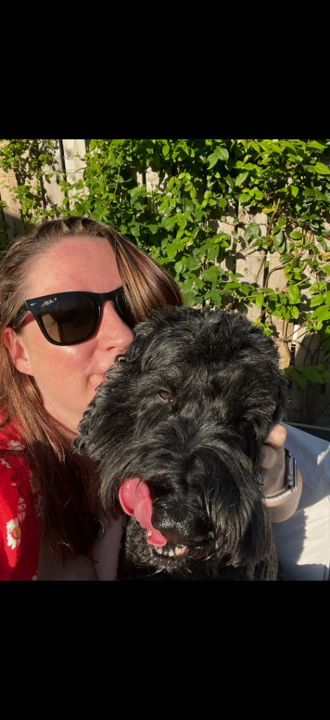 Friendly home dog stay - Sofa friendly dogs – no kennels, no packs – £130/week