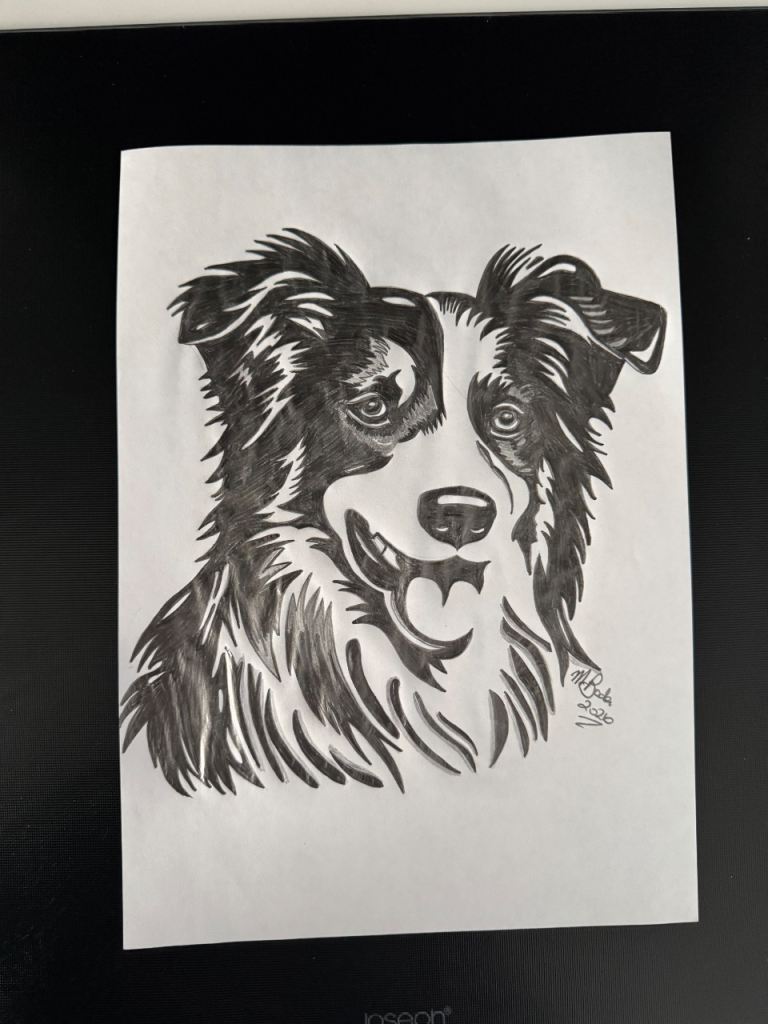A4 Original Hand-Drawn Pencil Sketch Drawing of a Border Collie Dog 