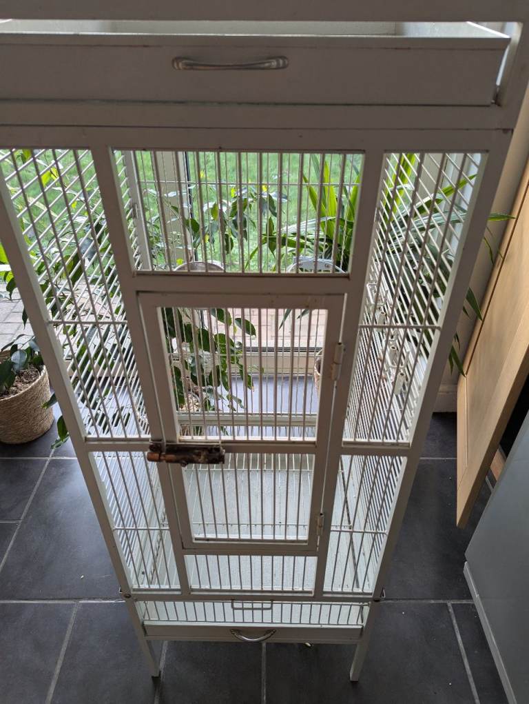parrot cage