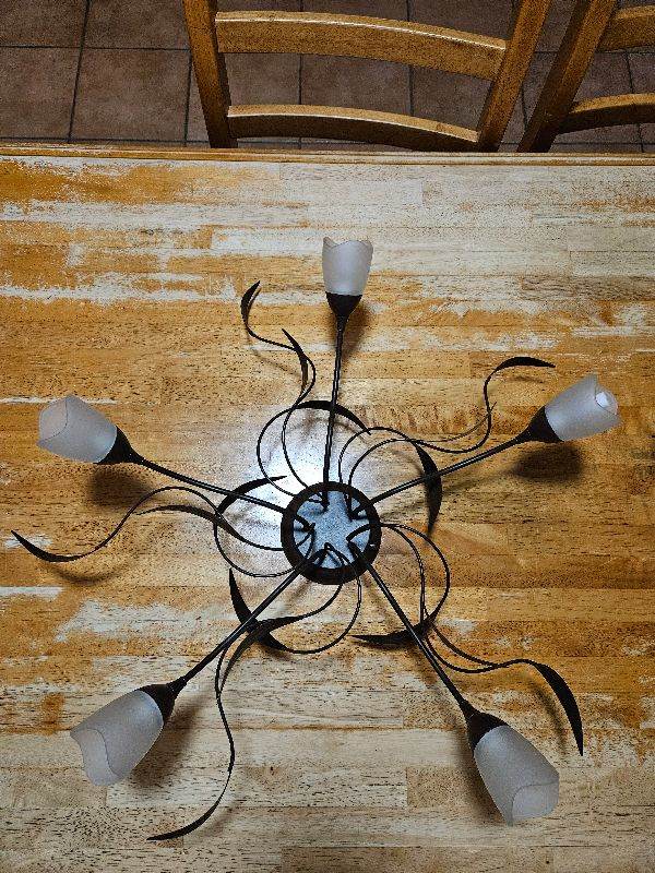 Honos Brushed Glass and metal black and brown 5 Lamp ceiling light