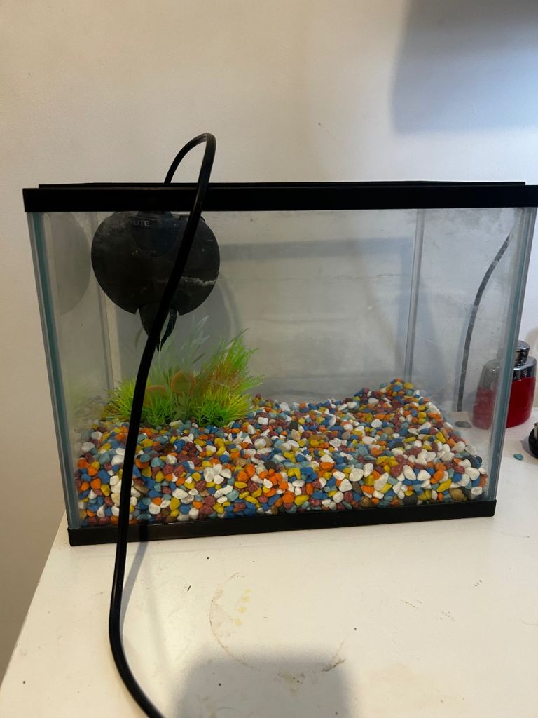 Small Glass Fish Tank with Colourful Gravel