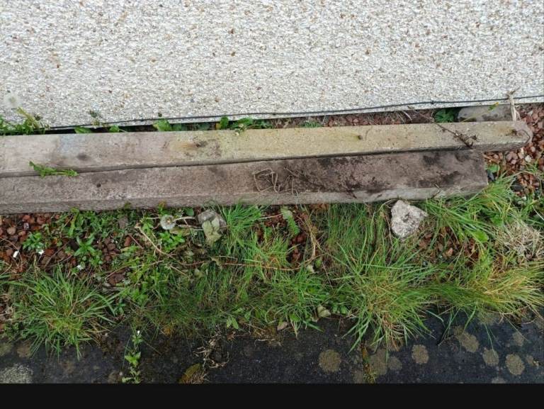 Concrete fence posts x2
