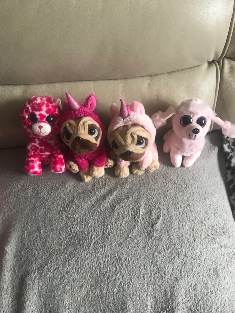 Selection of dogs. 
