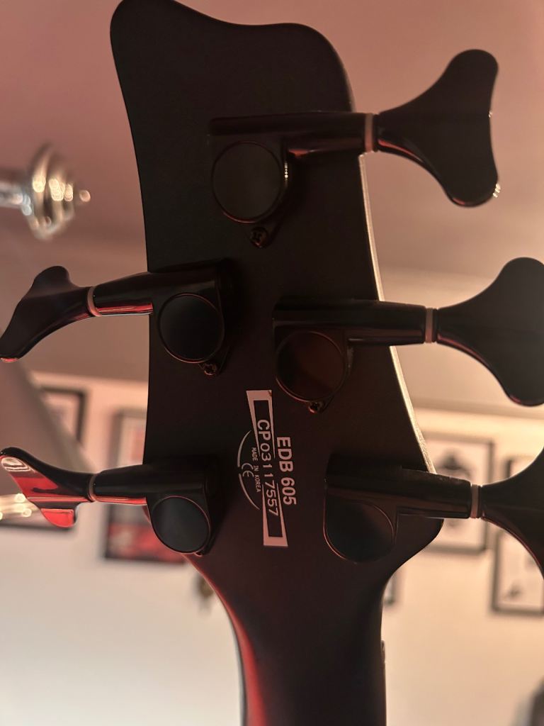 Guitar and bass offers only nothin silly