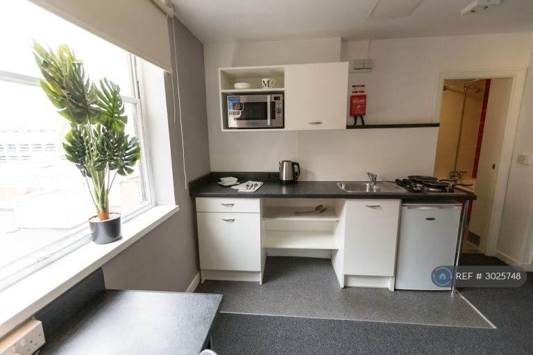 Studio flat in Mercia Lodge, Coventry, CV1 (#3025748)