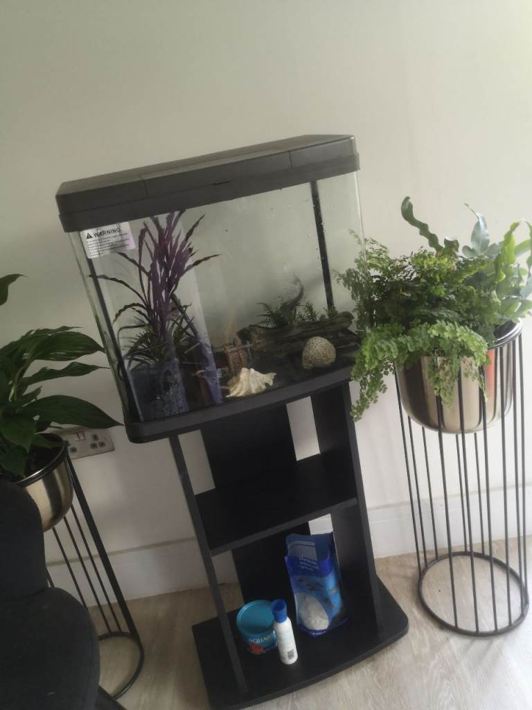Fish tank 40L