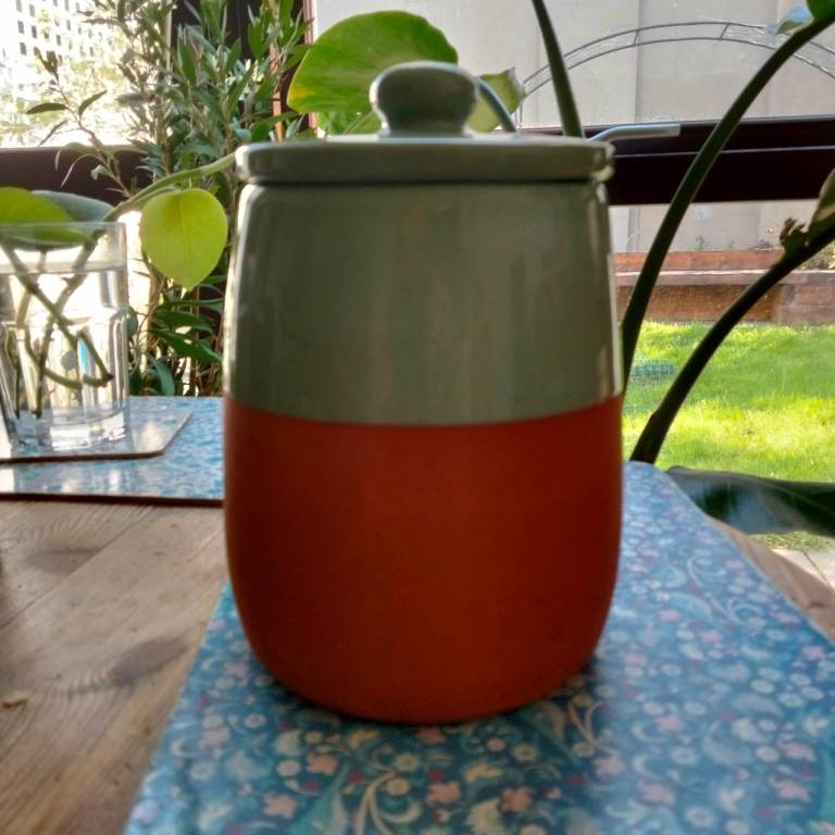 Terracotta and sage green pot 