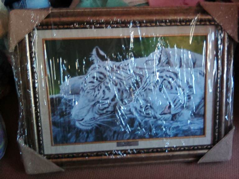 Osborne & Allen Ltd, Stephen Gayford print,(Sleep Tight), 61 x 81,