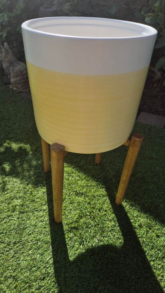 Stylish Yellow and White Plant Pot with Wooden stand