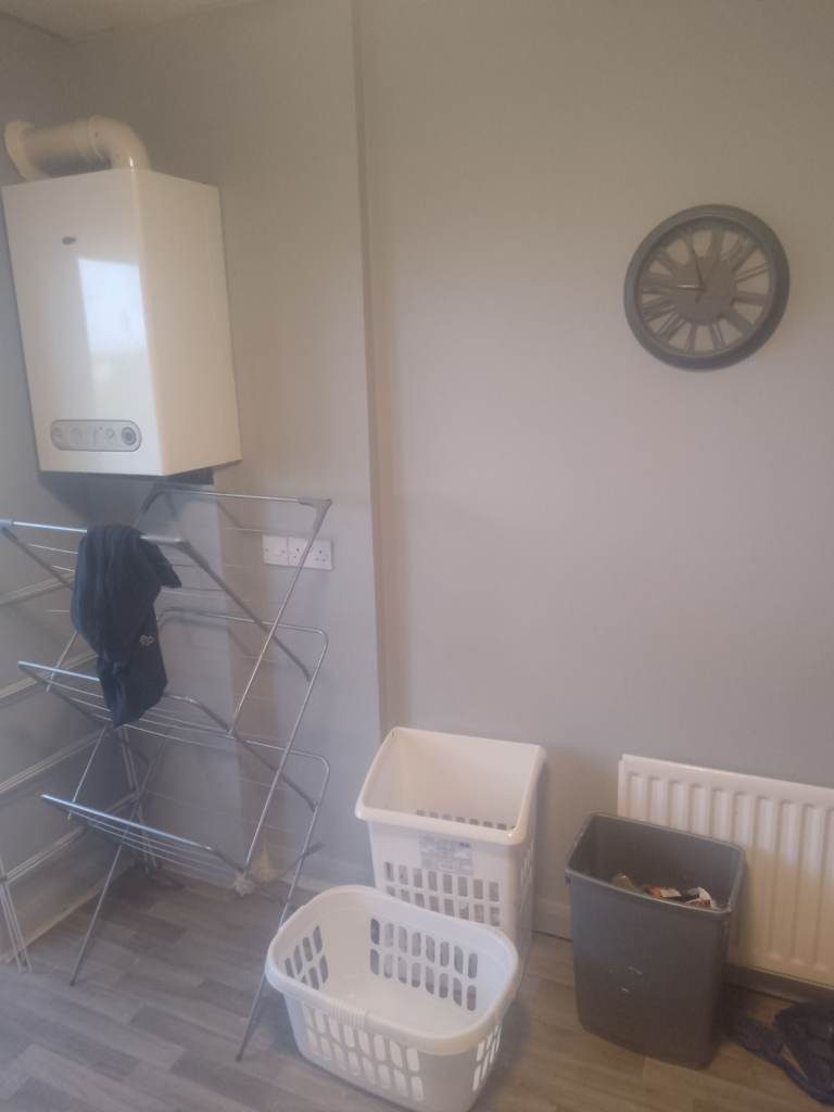 Fully qualified time served painter for hire 