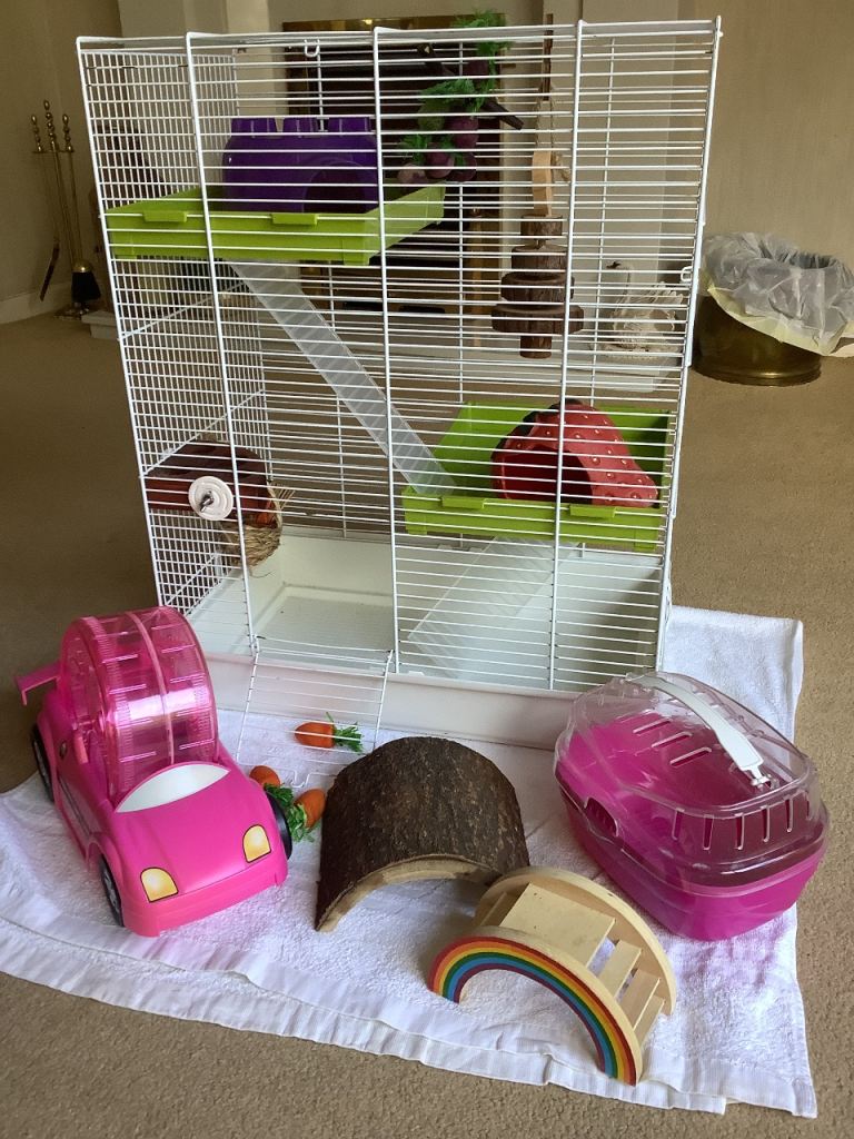 Hamster or Gerbil cage.