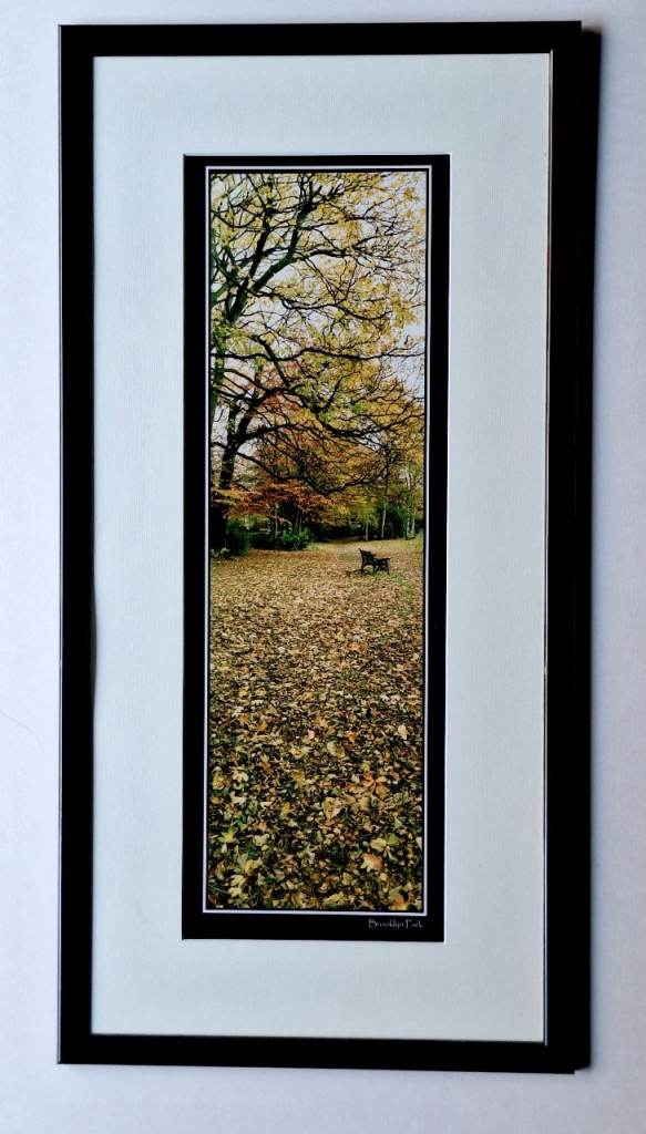 ORIGINAL PHOTOGRAPH ..CHEADLE..BROOKLYN PARK....MOUNTED AND FRAMED