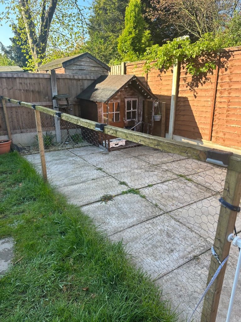 Good condition Dog house no leaks very dry and a panel run free to collect