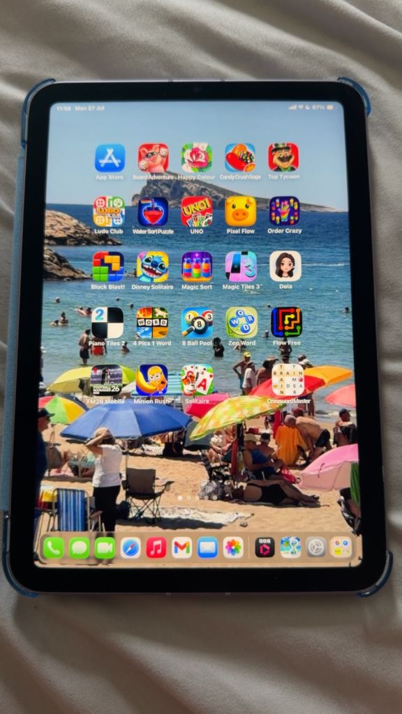 Apple iPad Mini (6th Gen) 256GB BEST OFFERS  – Blue, Good Condition