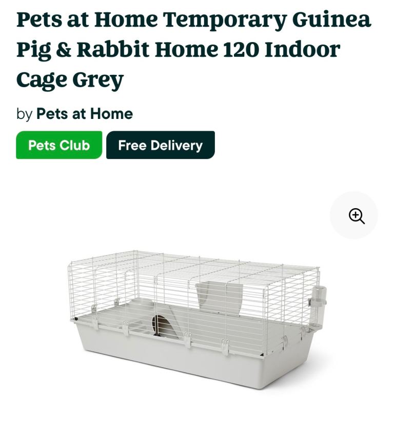 Guinea pig cage